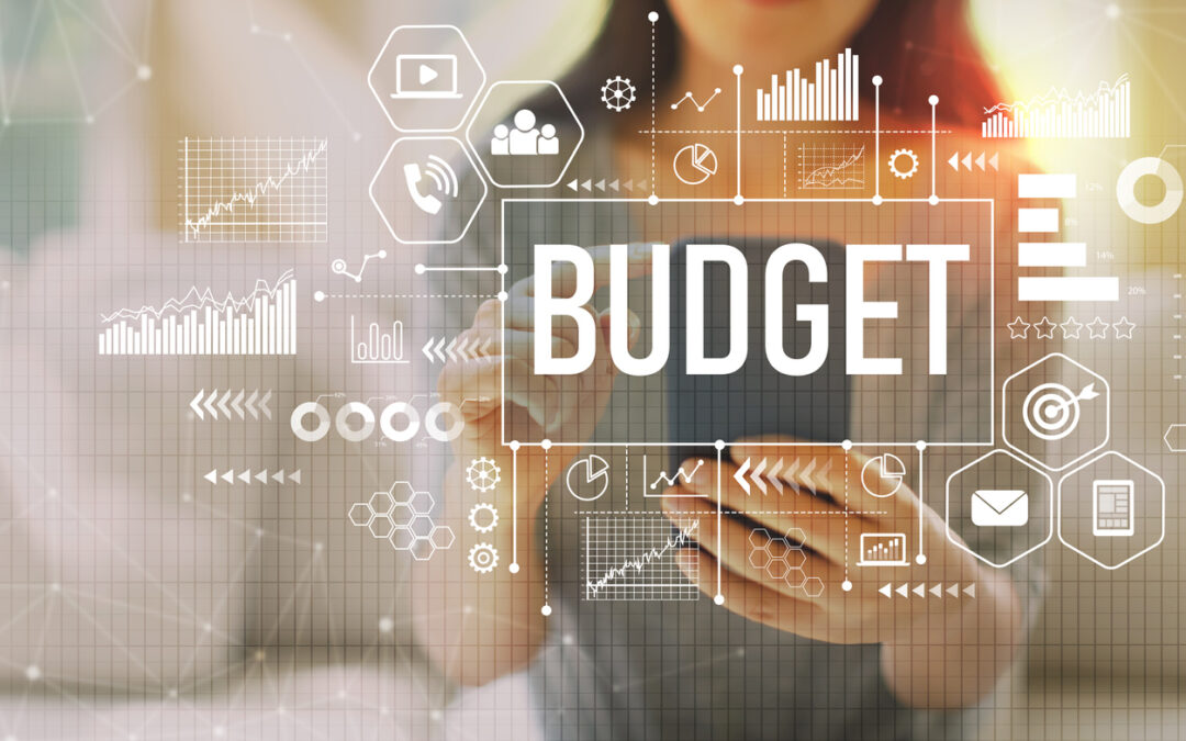 Risk Mitigation in IT Budgeting: Contingencies Amid Uncertainty